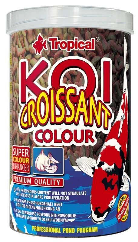 KOI CROISSANT COLOUR KOI CROISSANT COLOUR