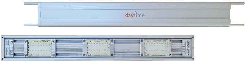 daytime matrix daytime matrix