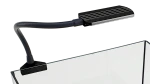 Daytime Cobra Black